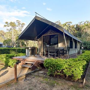 Safari Palm Tent